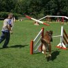 agility 2011-07-24